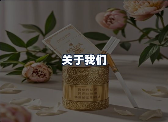 关于我们
